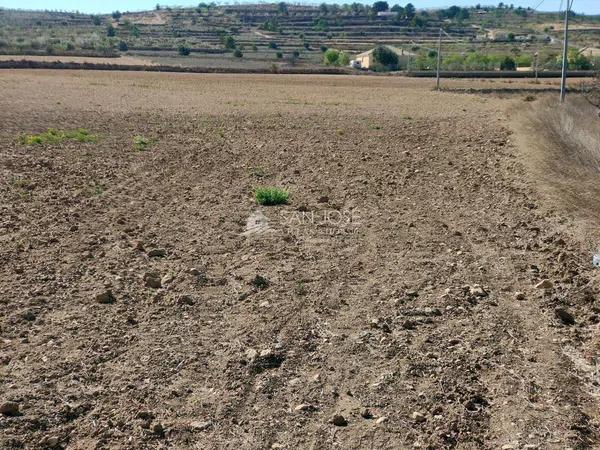 Terreno en La Murada-Los Vicentes