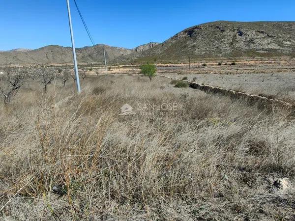 Terreno en La Murada-Los Vicentes