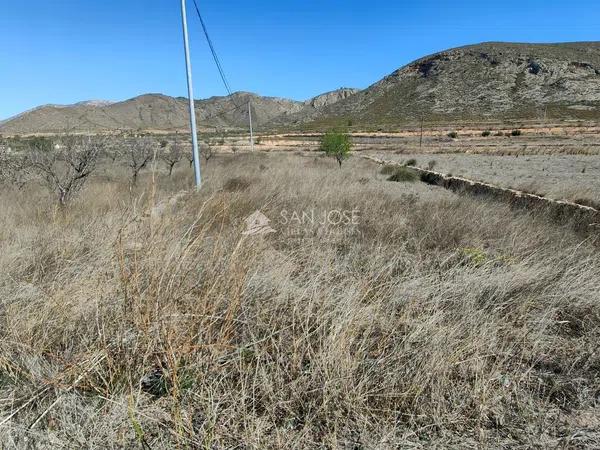 Terreno en La Murada-Los Vicentes