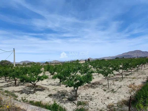 Terreno en Pedanías Este