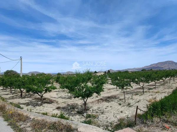 Terreno en Pedanías Este