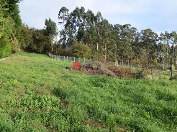 Terreno en Aldea Lombao