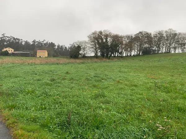 Terreno en Aldea Mercuto, 19