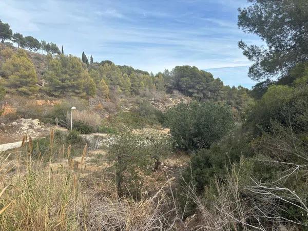 Terreno en calle del Camí Vell de la Fustera