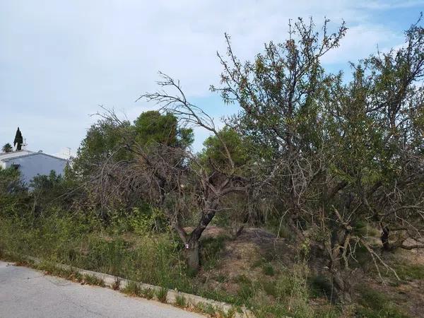 Terreno en calle Assagador