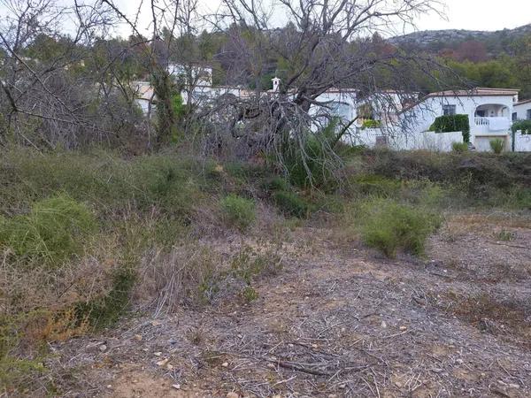 Terreno en calle Assagador