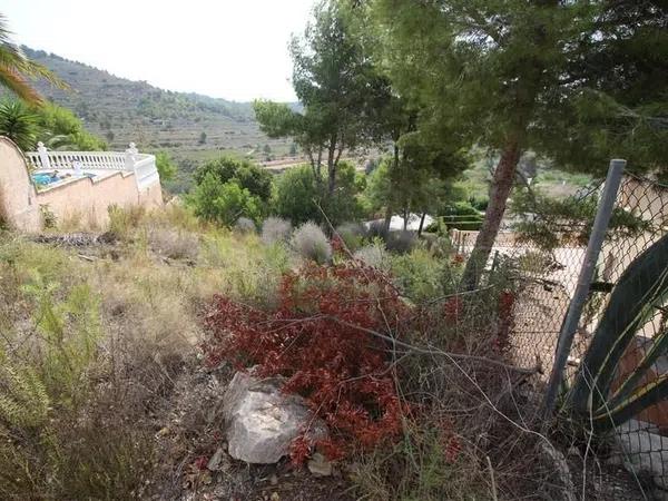 Terreno en Cometa-Carrió