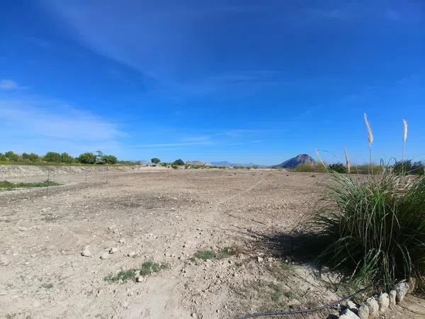 Terreno en Santa Ana, Elche, 163 Poligonoparcela