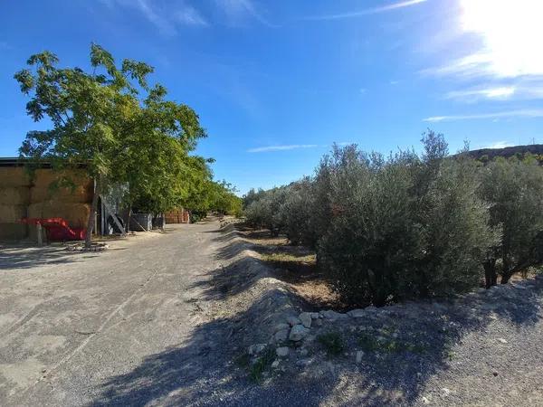 Terreno en Santa Ana, Elche, 163 Poligonoparcela