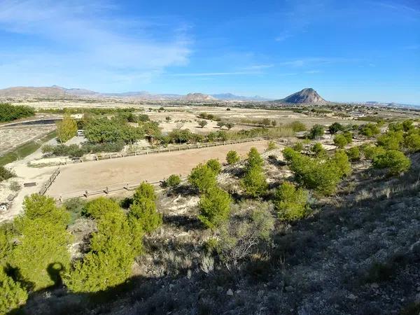 Terreno en Santa Ana, Elche, 163 Poligonoparcela