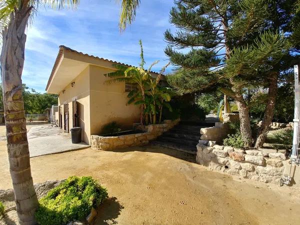 Terreno en Santa Ana, Elche, 163 Poligonoparcela