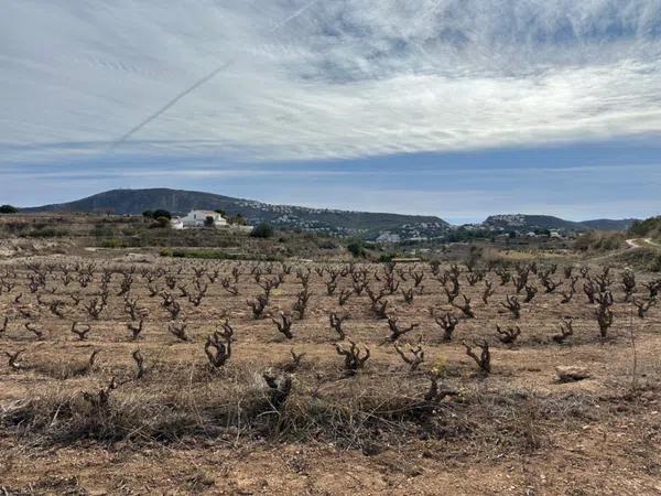 Terreno en Teulada