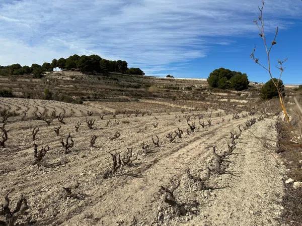 Terreno en Teulada