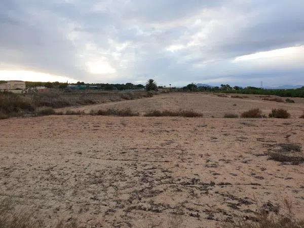 Terreno en La Marina