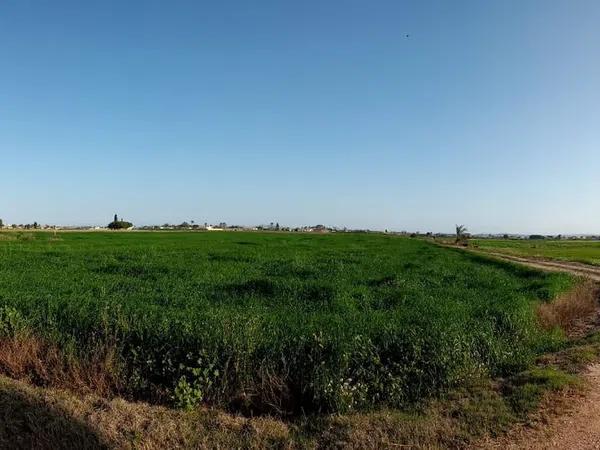 Terreno en camino Arroba de Hornos, 130