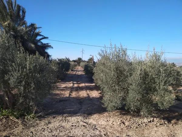 Terreno en carretera a-7 s/n