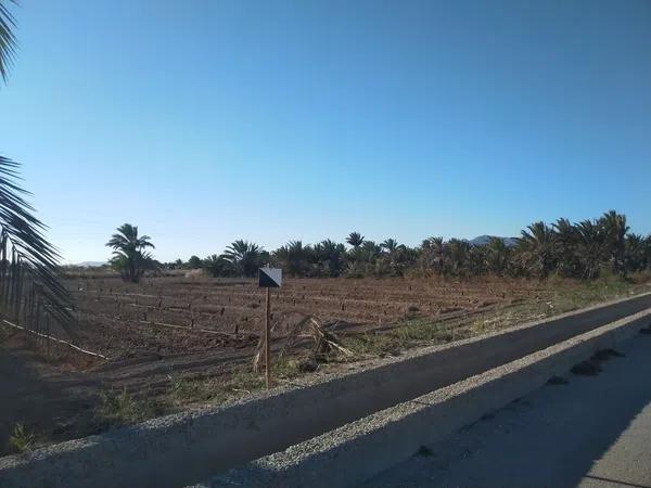 Terreno en carretera a-7 s/n