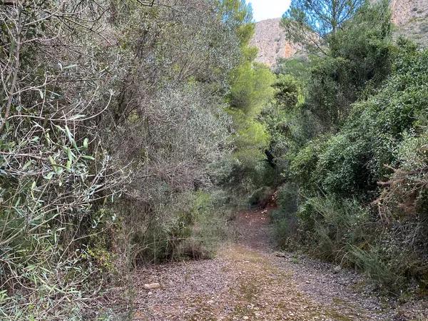 Terreno en Diseminado Ocaive, 8 OcaivePedrequer