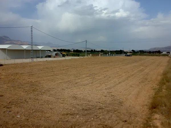 Terreno en camino Viejo de Hondón, 41 PolgonoParcela