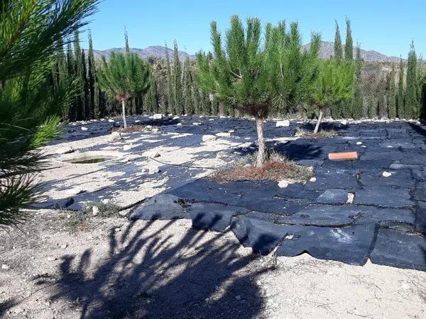 Terreno en Partida Horna Baja, 16