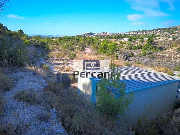 Terreno en Partida el Pino