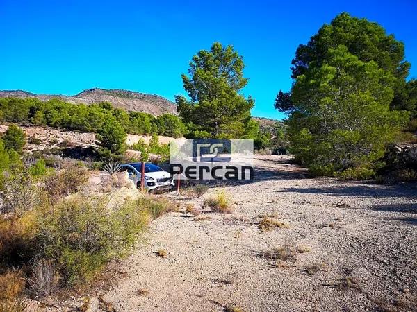 Terreno en Partida el Pino