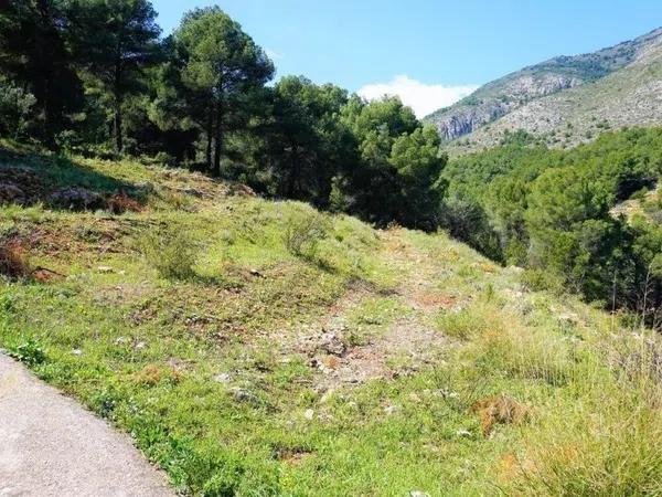 Terreno en carretera Partida Onaer s/n