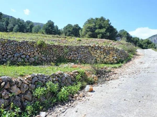 Terreno en carretera Partida Onaer s/n