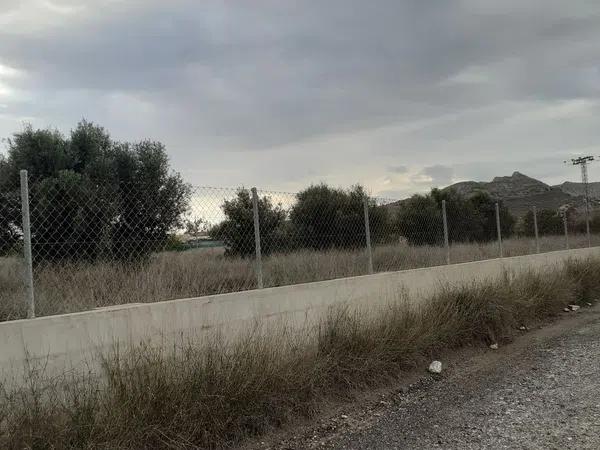 Terreno en camino de la Meca (La Cañada), 124