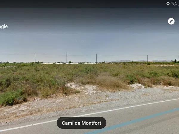 Terreno en camino Monfort sn Elche, 116