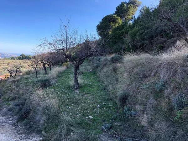 Terreno en Benimantell