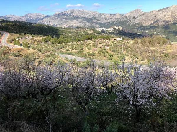 Terreno en Benimantell