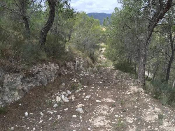 Terreno en Partida Torrosellas