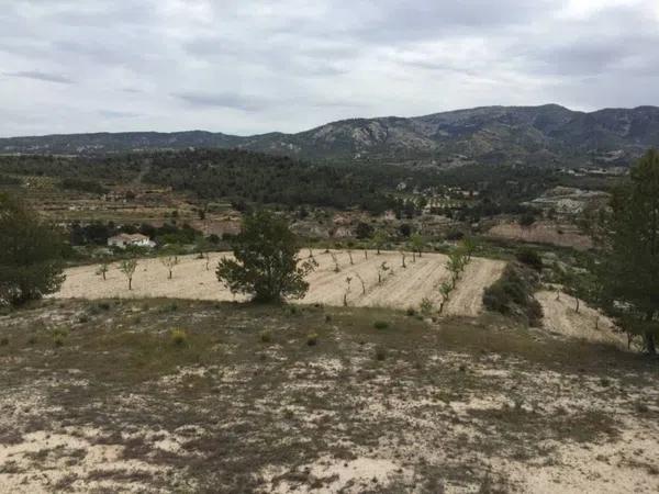 Terreno en Partida Torrosellas