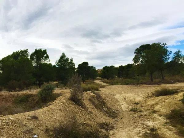 Terreno en calle la Vall de Cofrents