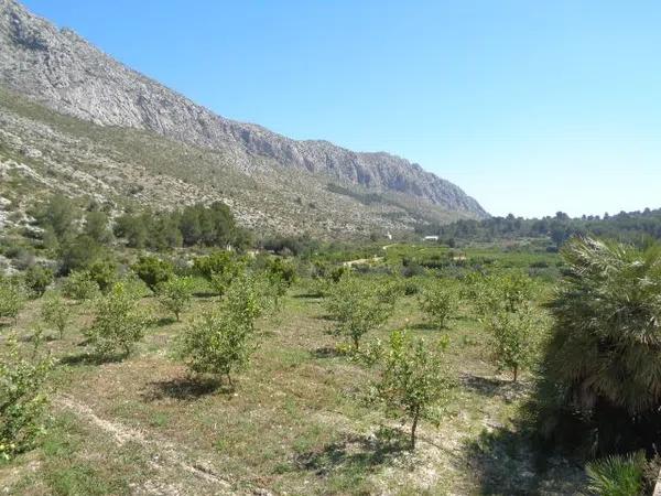 Terreno en Partida Racons