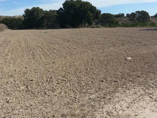 Terreno en camino camino del Fardacho, 1