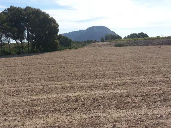 Terreno en camino camino del Fardacho, 1