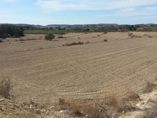 Terreno en camino camino del Fardacho, 1