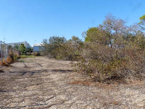 Terreno en La Huerta