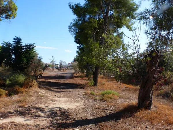 Terreno en La Huerta