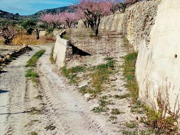 Terreno en carretera Cv-7141, km 1