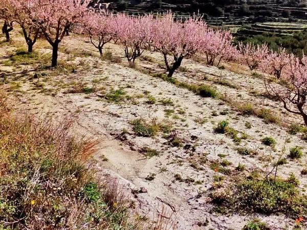 Terreno en carretera Cv-7141, km 1