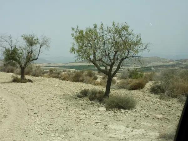 Terreno en calle del Campo, 2