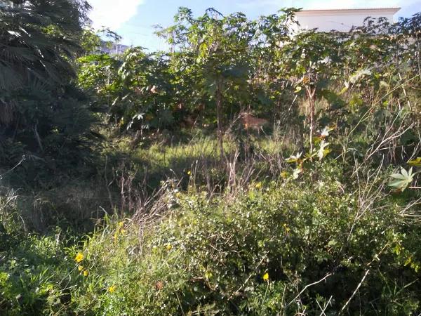 Terreno en camino Assagador del Pinar, 11