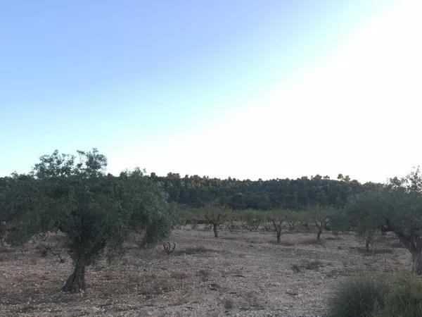 Terreno en Paraje La Calera s/n Sn