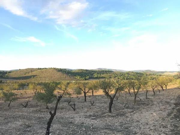 Terreno en Paraje La Calera s/n Sn