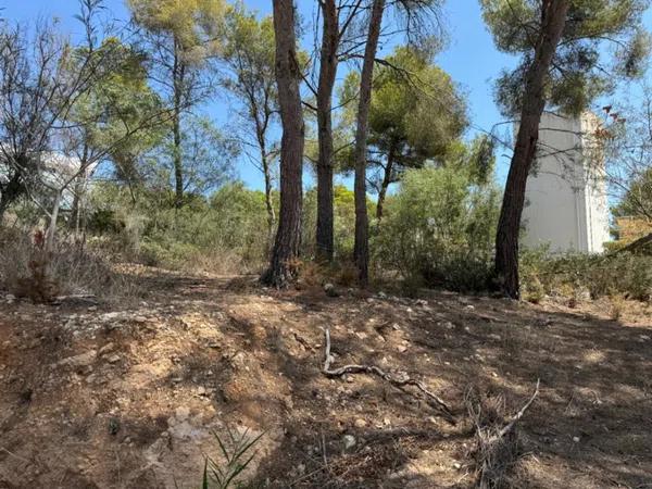 Terreno en Pinar de Advocat-Cometa