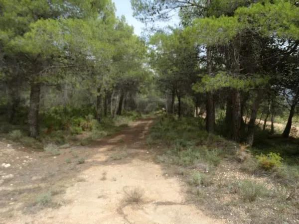 Terreno en poligono 7, 7 poligono