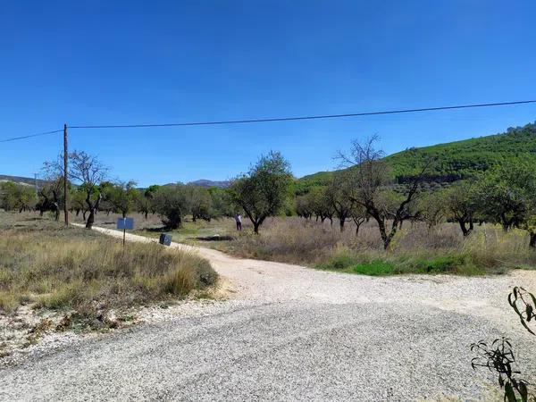 Terreno en Carrascal, 19